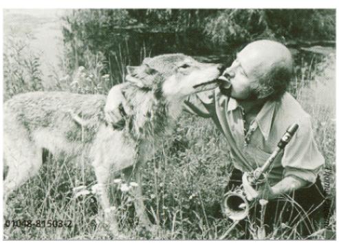 saxophonist Paul Winter with a wolf